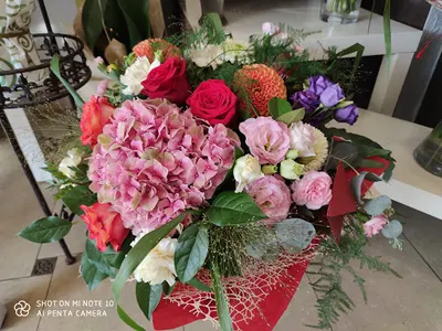 Romantica. Kwiaciarnia